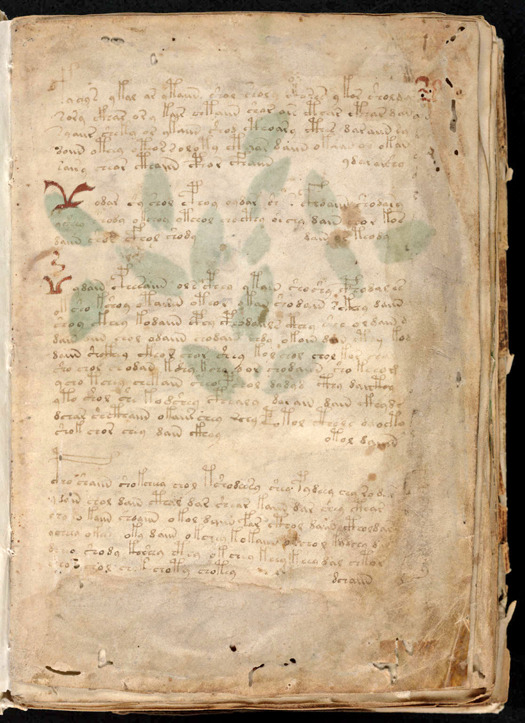 The Voynich Manuscript