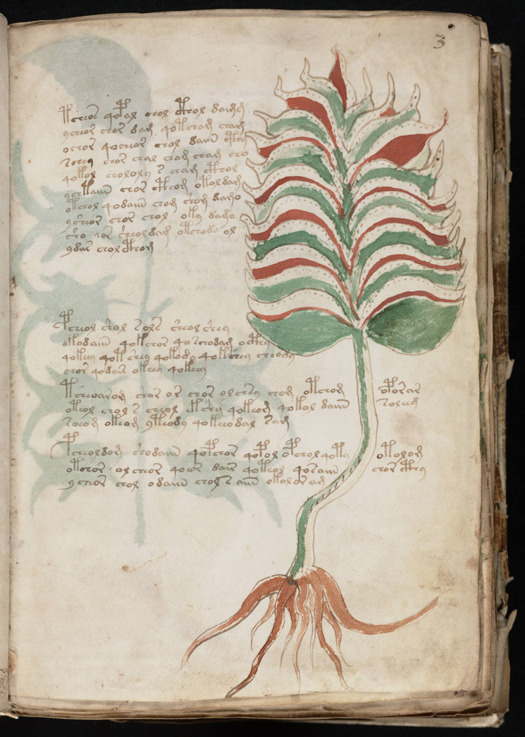 The Voynich Manuscript