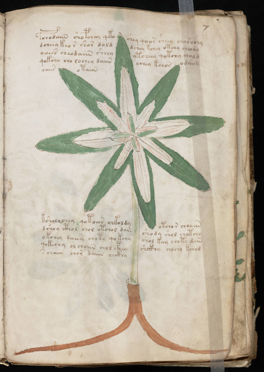 The Voynich Manuscript