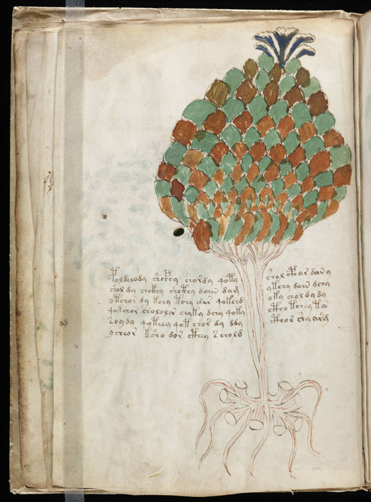 The Voynich Manuscript