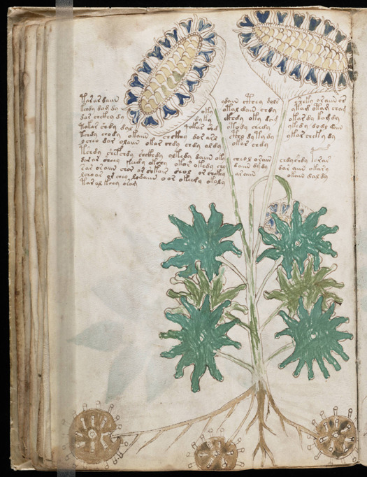 The Voynich Manuscript