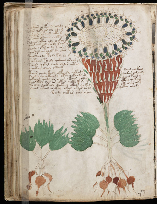 The Voynich Manuscript