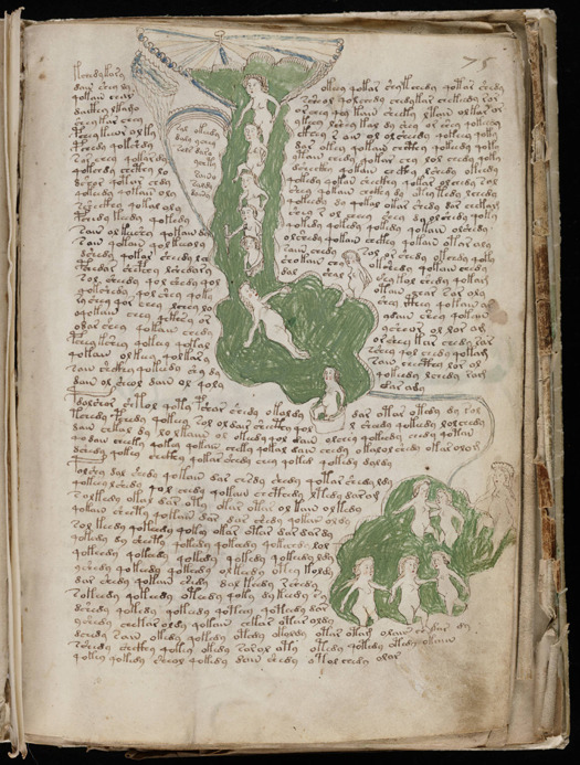The Voynich Manuscript