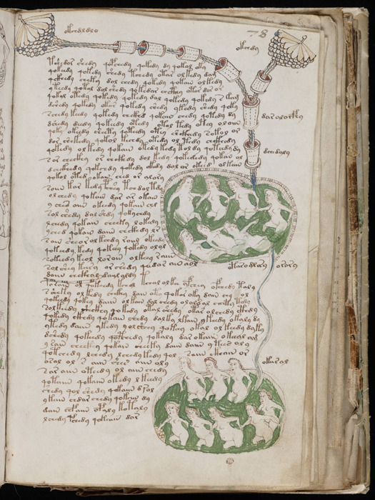 The Voynich Manuscript