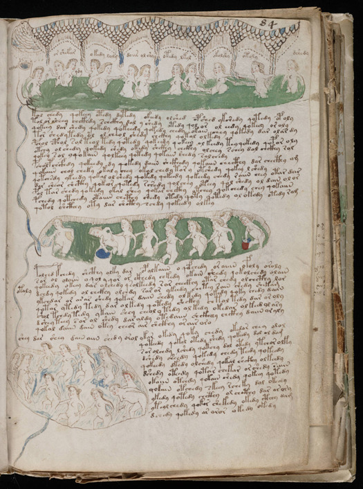 The Voynich Manuscript