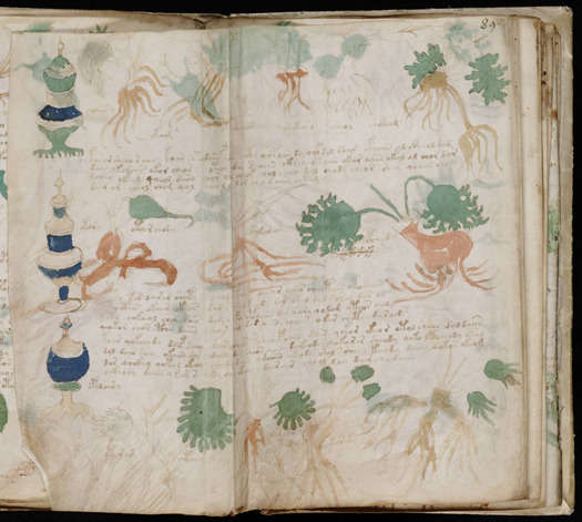 The Voynich Manuscript