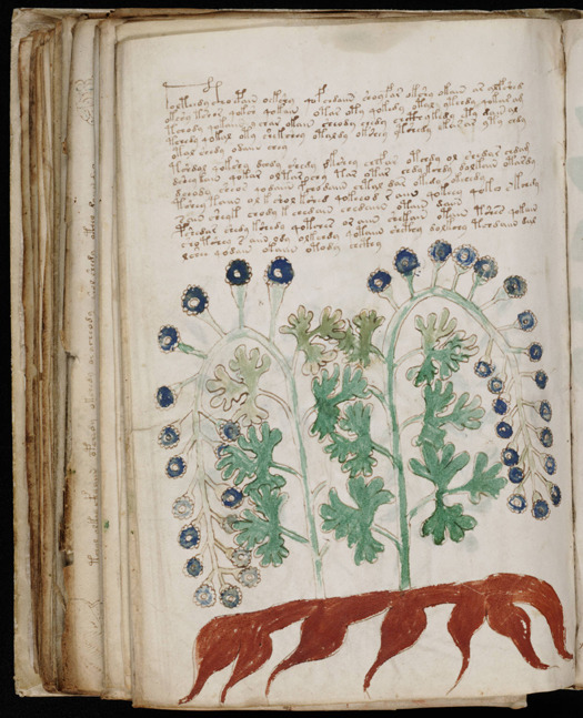 The Voynich Manuscript