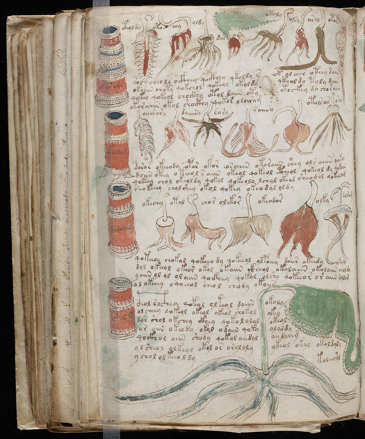 The Voynich Manuscript