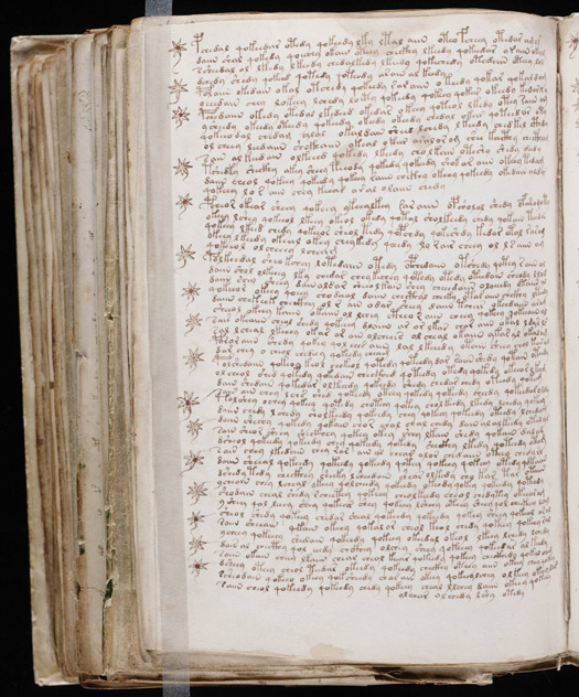 The Voynich Manuscript