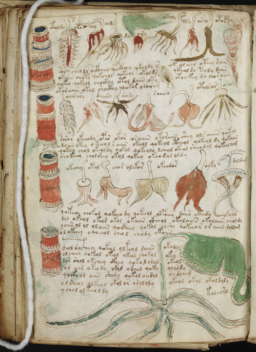 The Voynich Manuscript