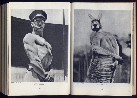 Stefan Lorant　ステファン・ローラント On My Shelf: Stefan Lorant's Lilliput: Design Observer